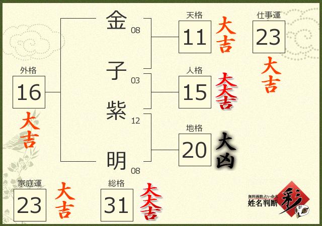 診断結果画像
