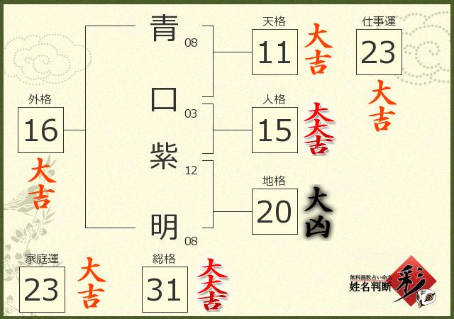 診断結果画像