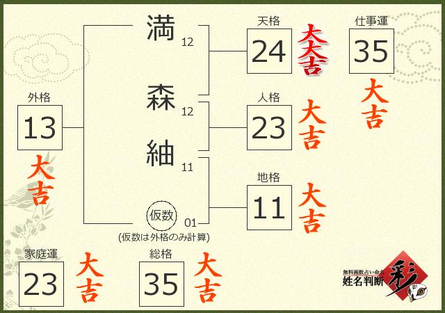 診断結果画像
