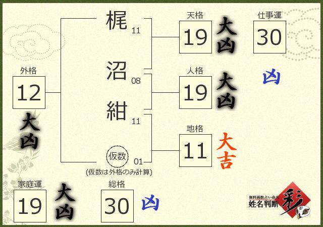 診断結果画像