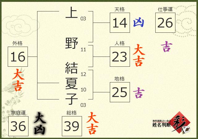診断結果画像