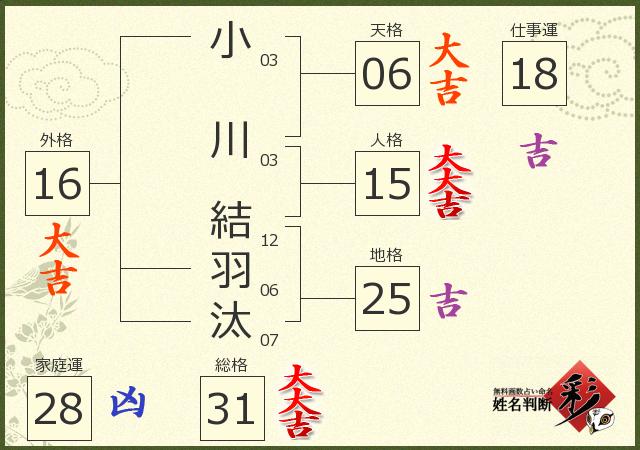 診断結果画像