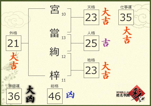 診断結果画像