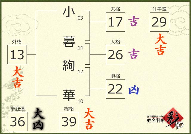 診断結果画像