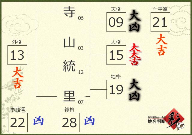 診断結果画像