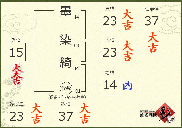 診断結果画像