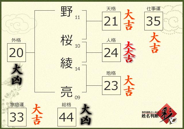 診断結果画像