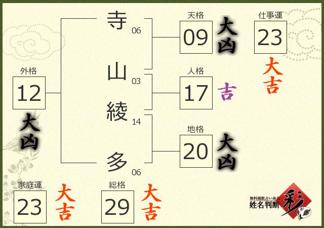診断結果画像