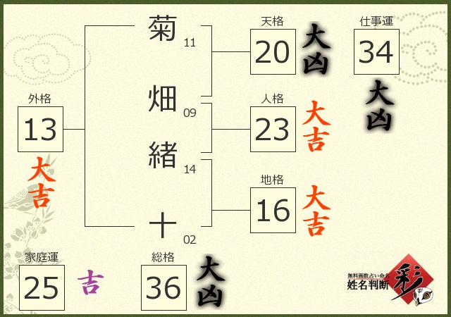 診断結果画像