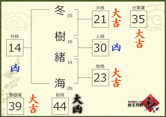 診断結果画像
