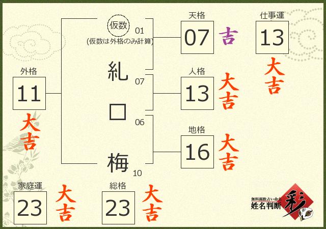 診断結果画像