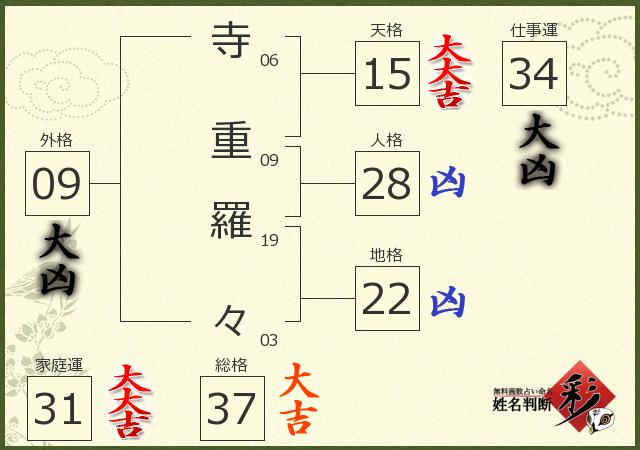 診断結果画像