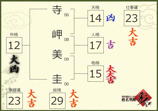 診断結果画像