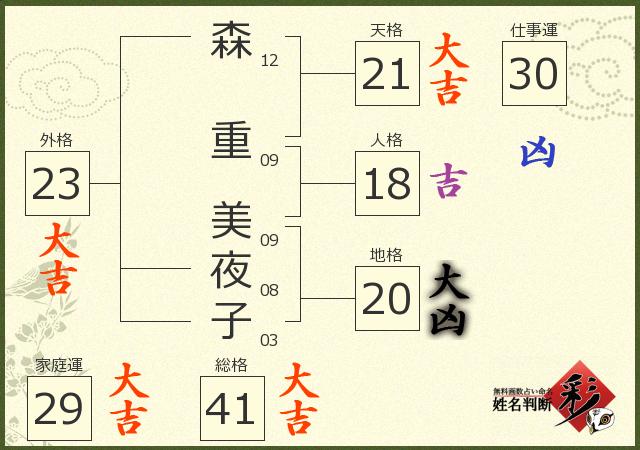 診断結果画像