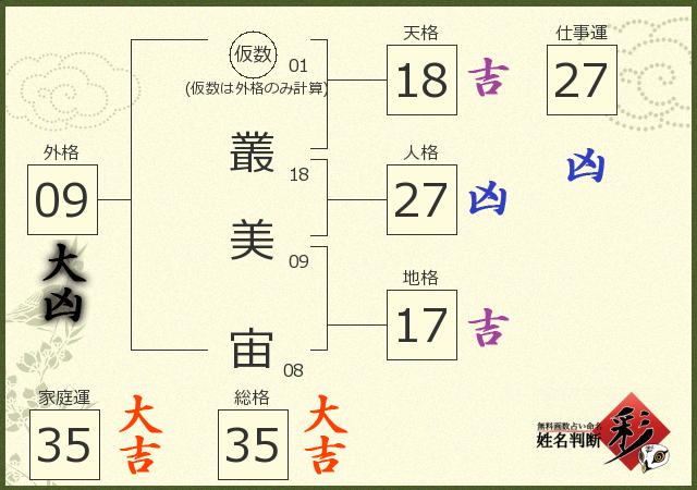 診断結果画像