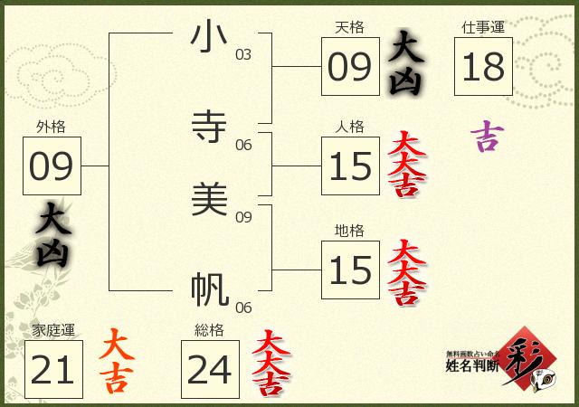 診断結果画像