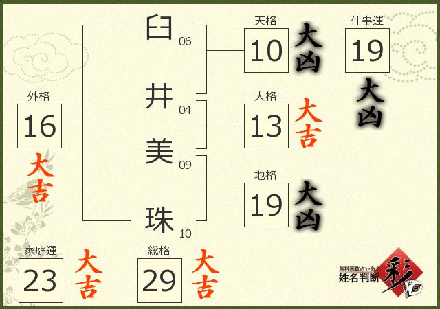 診断結果画像