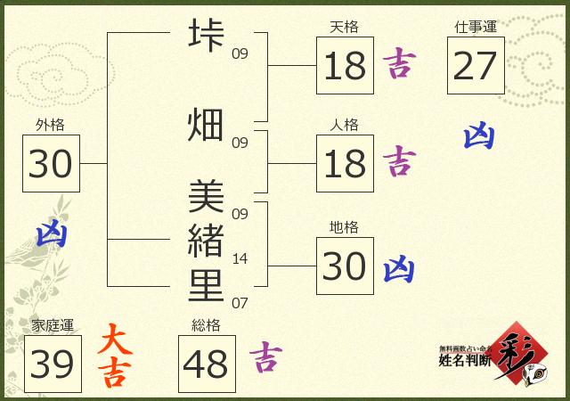 診断結果画像