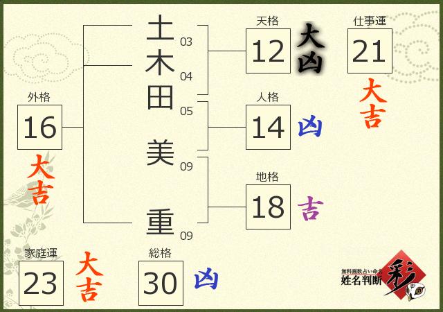 診断結果画像