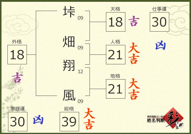 診断結果画像