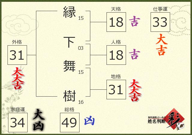 診断結果画像