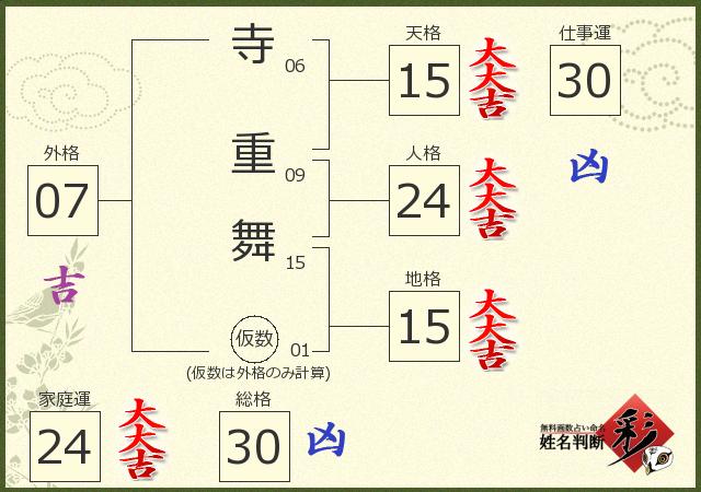 診断結果画像