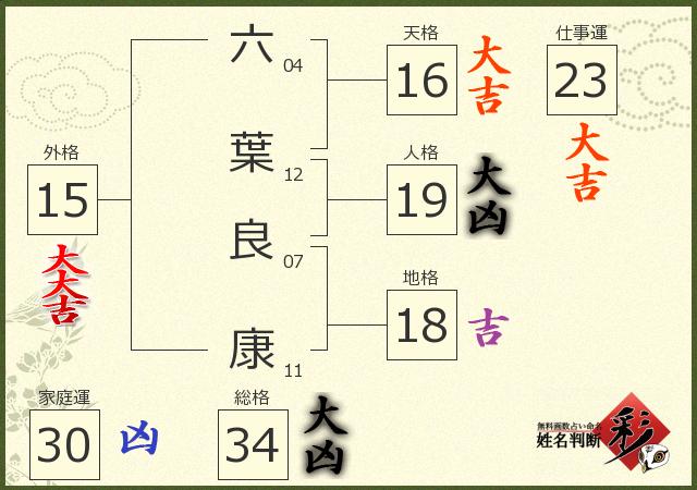 診断結果画像