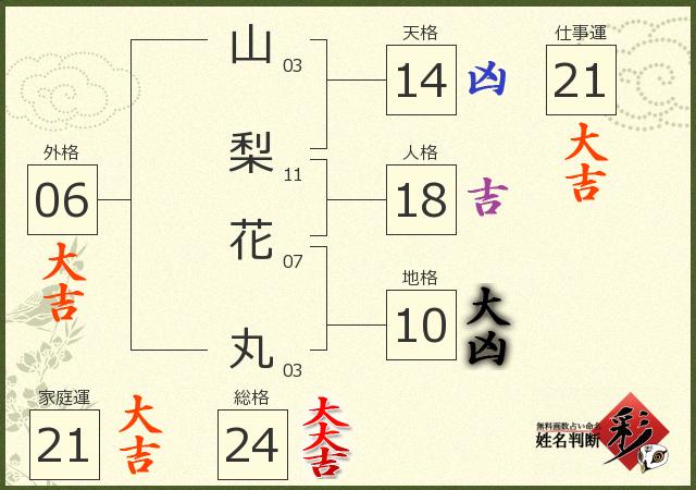診断結果画像