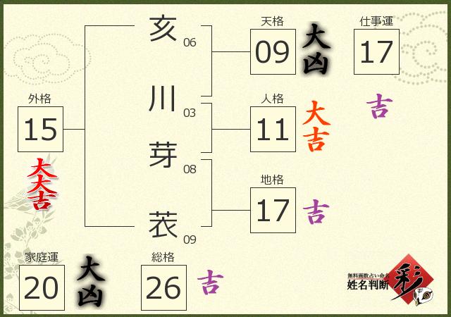 診断結果画像
