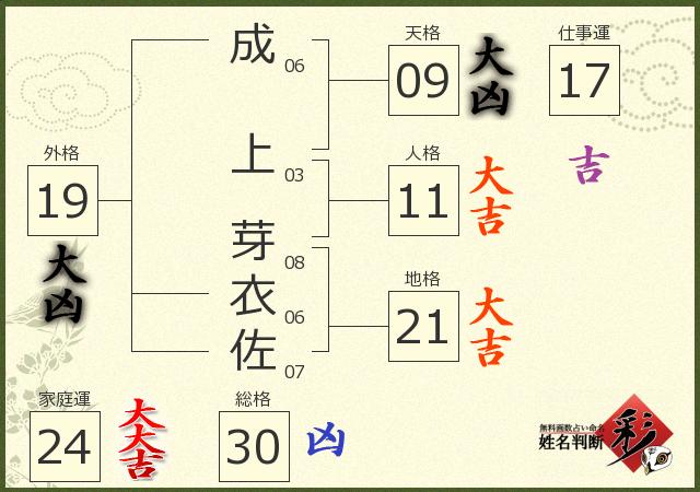 診断結果画像