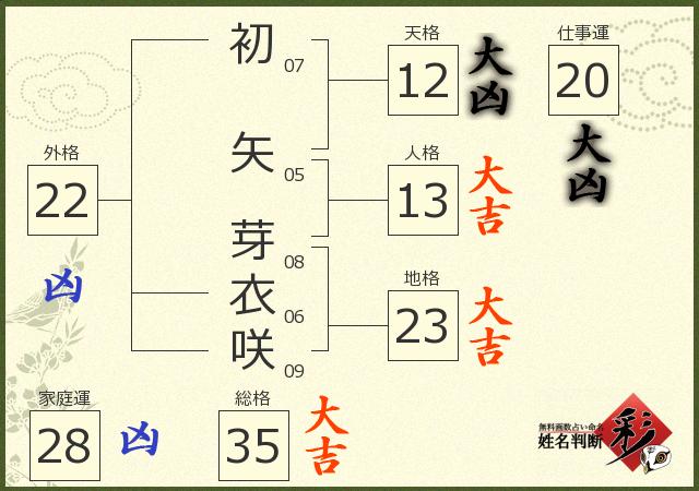 診断結果画像