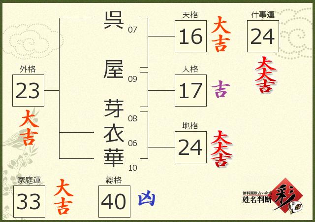 診断結果画像