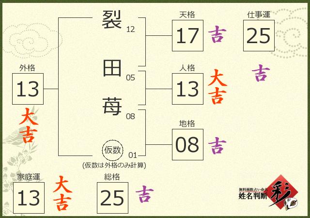 診断結果画像
