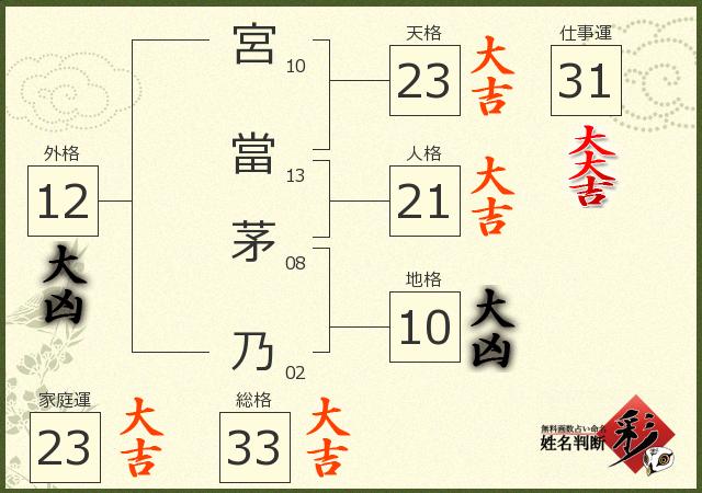 診断結果画像