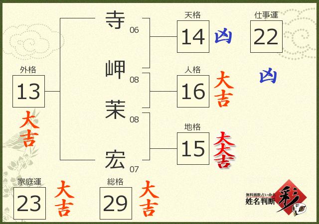 診断結果画像