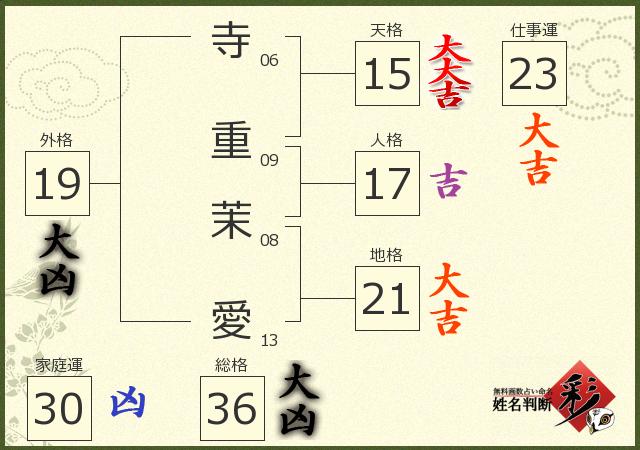 診断結果画像