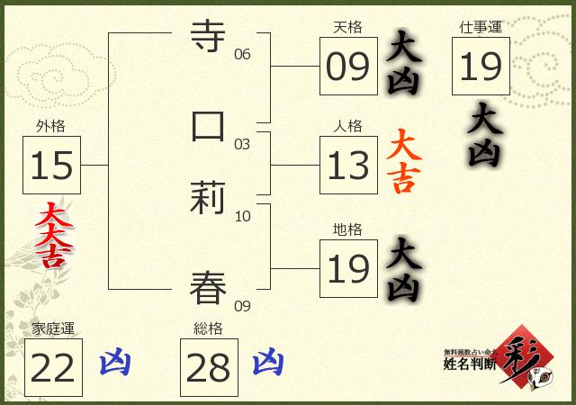 診断結果画像