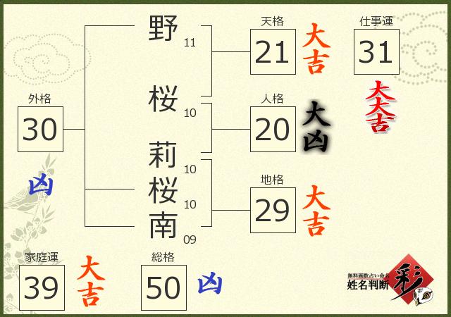 診断結果画像
