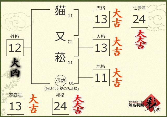 診断結果画像
