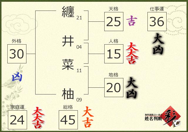 診断結果画像