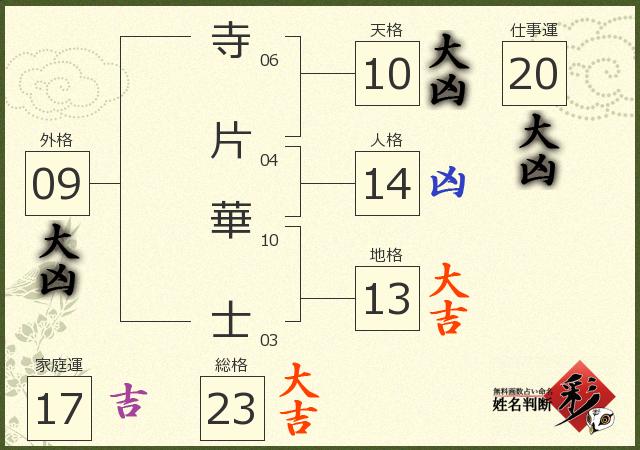 診断結果画像