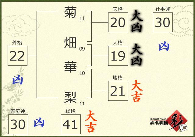 診断結果画像