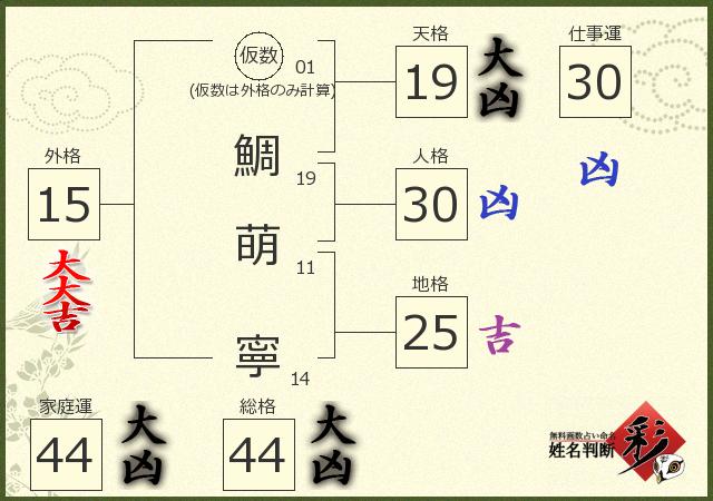 診断結果画像