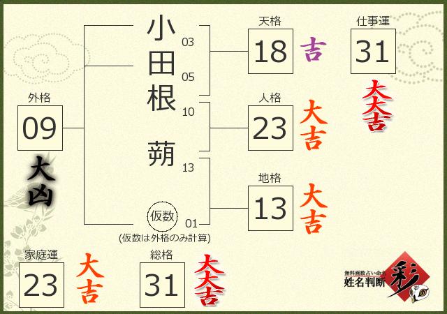 診断結果画像