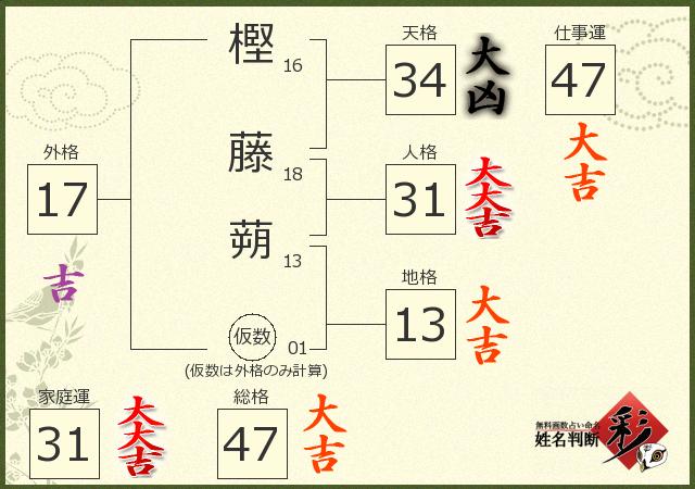 診断結果画像