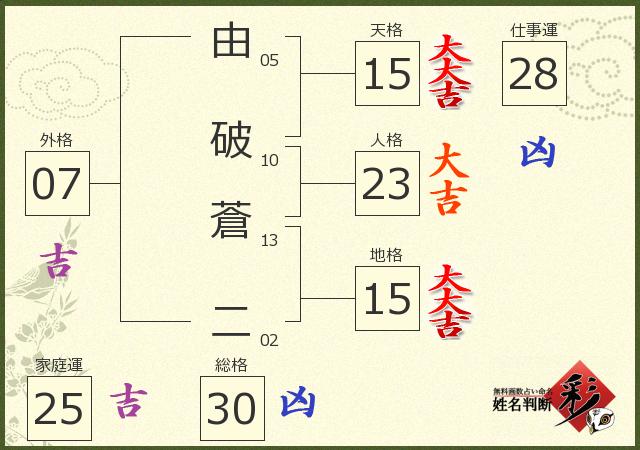 診断結果画像