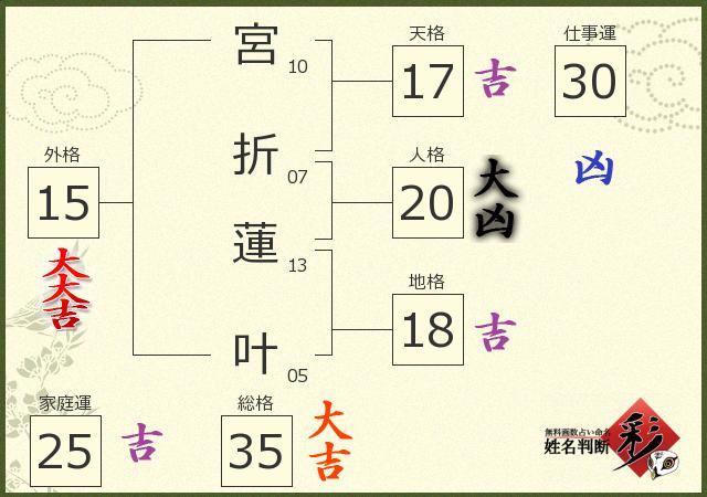 診断結果画像