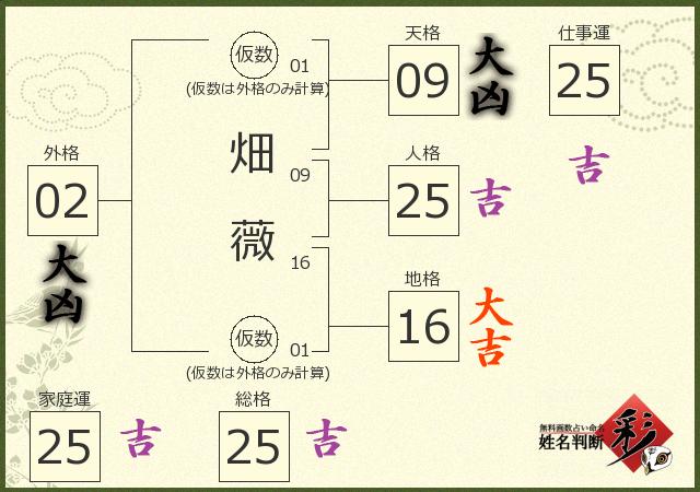 診断結果画像