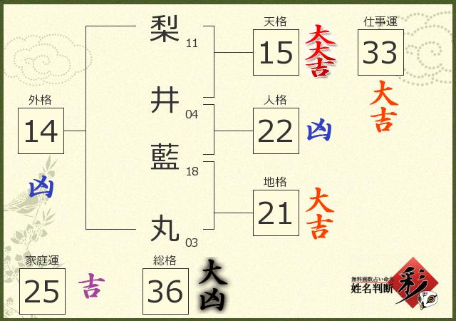 診断結果画像