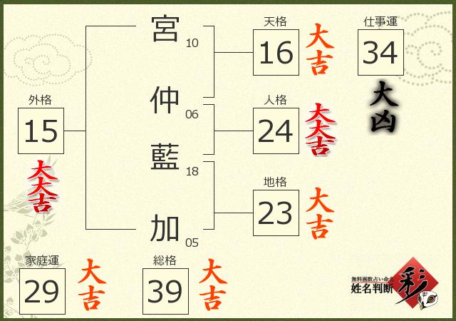 診断結果画像